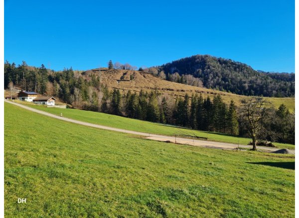 Wildgehege  im Berchtesgadener Land