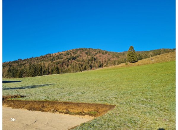 Wildgehege  im Berchtesgadener Land — Photo 3