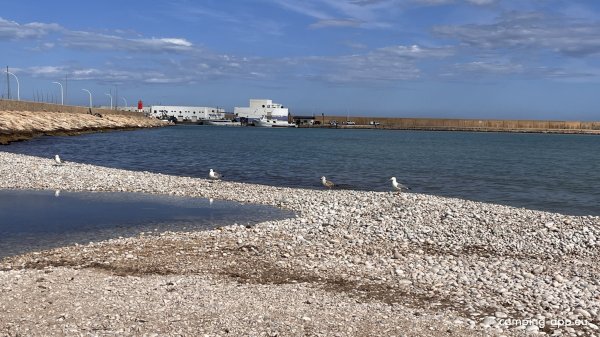 San Antonio Camper Park & Camping — Photo 5