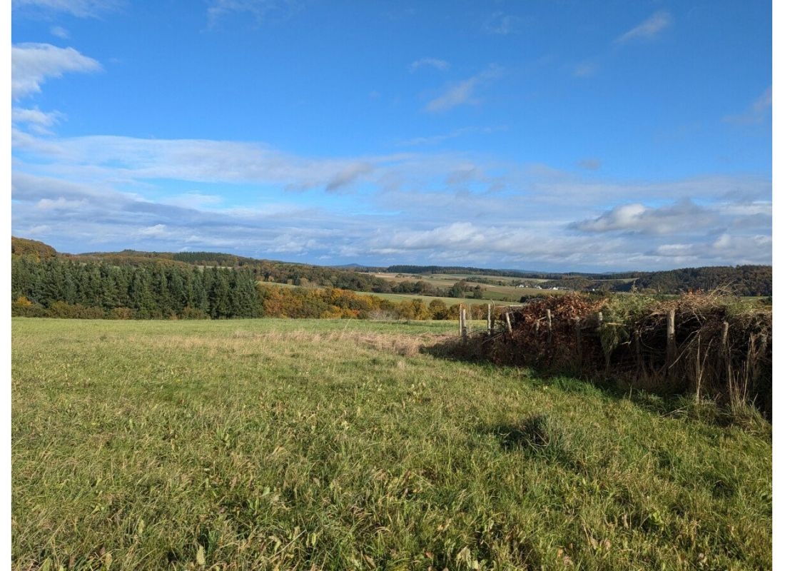 Wo Fuchs und Hase sich gute Nacht sagen — Camperplaats in Uersfeld