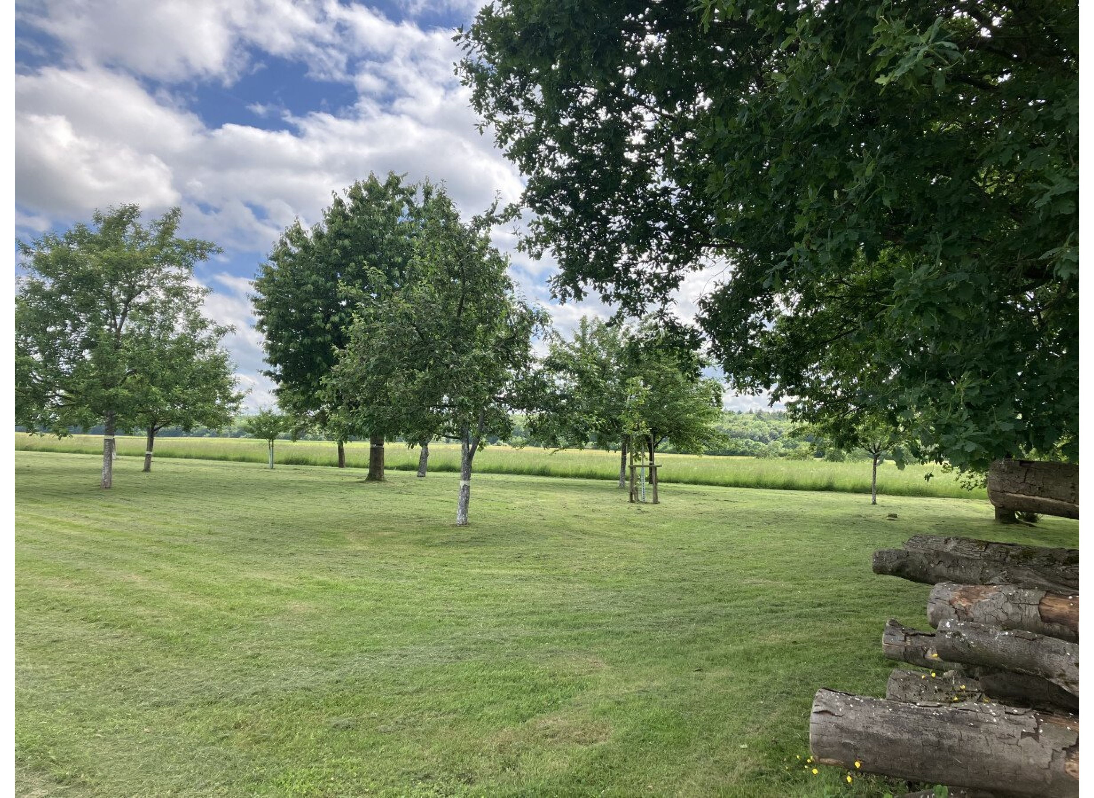 Streuobstwiese Borchen — Bobilplass in Borchen