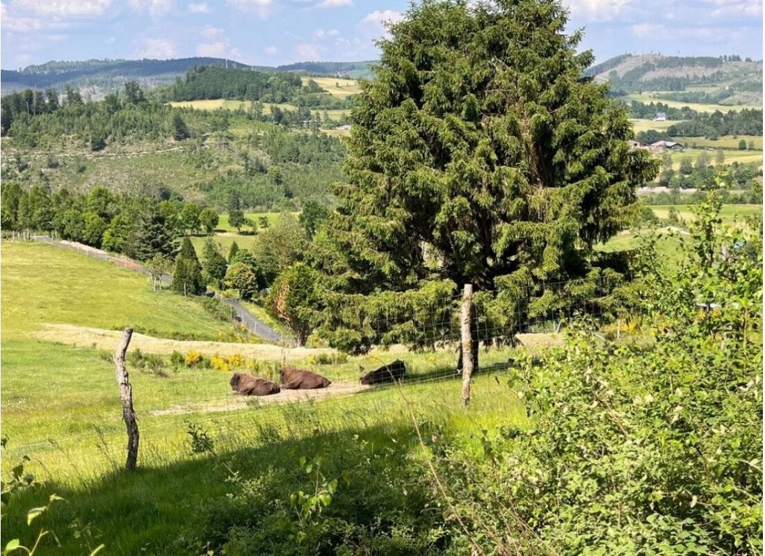 Traumhafte Aussicht — Camperplaats in Bad Laasphe Feudingen 