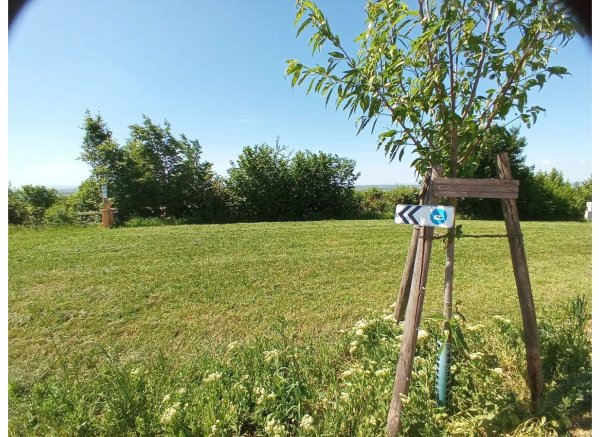 Camping Weingut Keßler — Photo 2