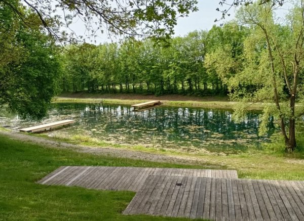 Schöner Stellplatz mit Blick auf wunderschönen Badessee — Photo 3