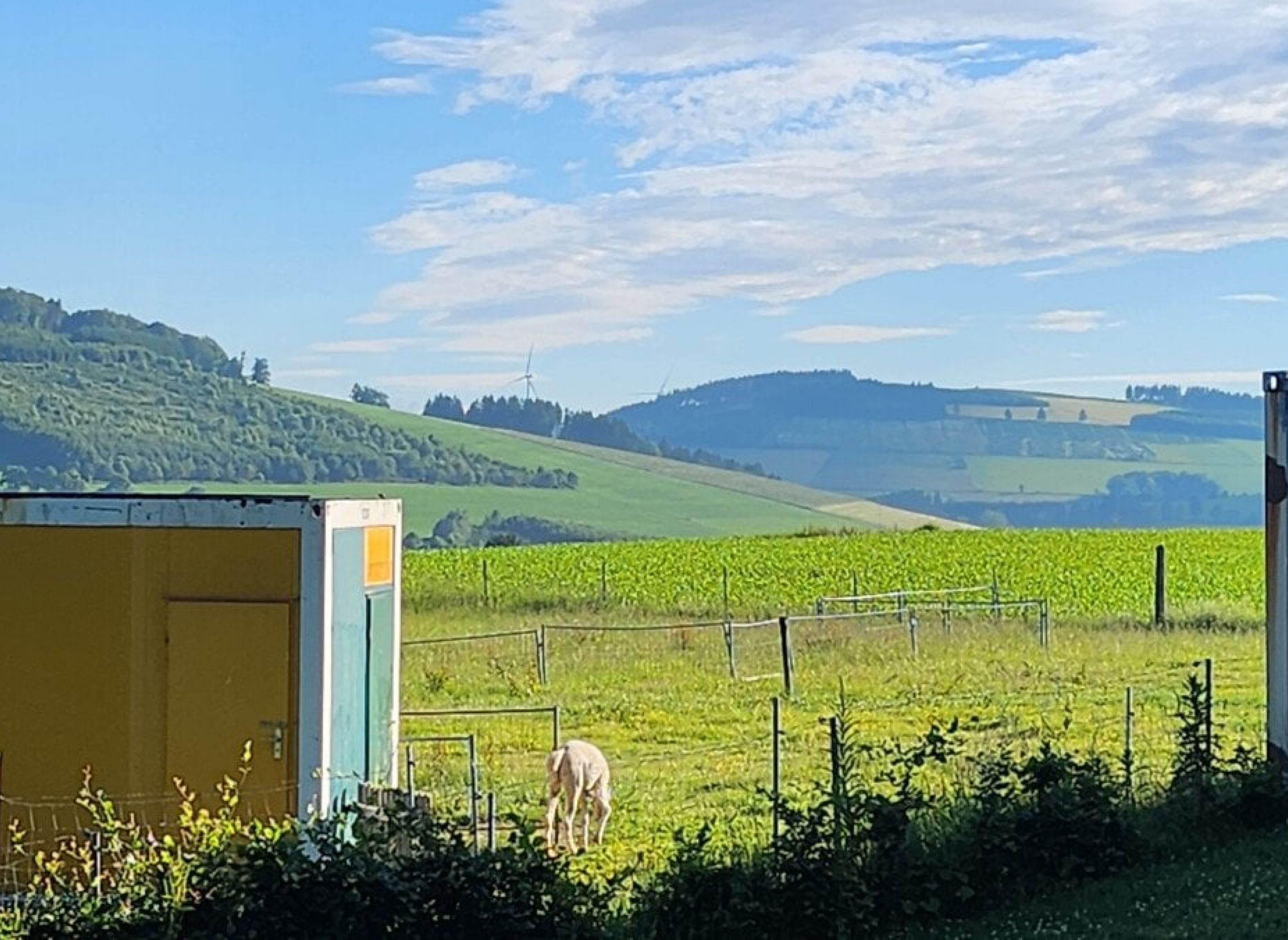 Stellplatz im Land der tausend Berge — Sp. parking dla kamperów in Winterberg