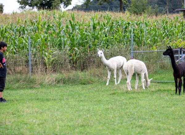Stellplatz im Land der tausend Berge — Photo 3