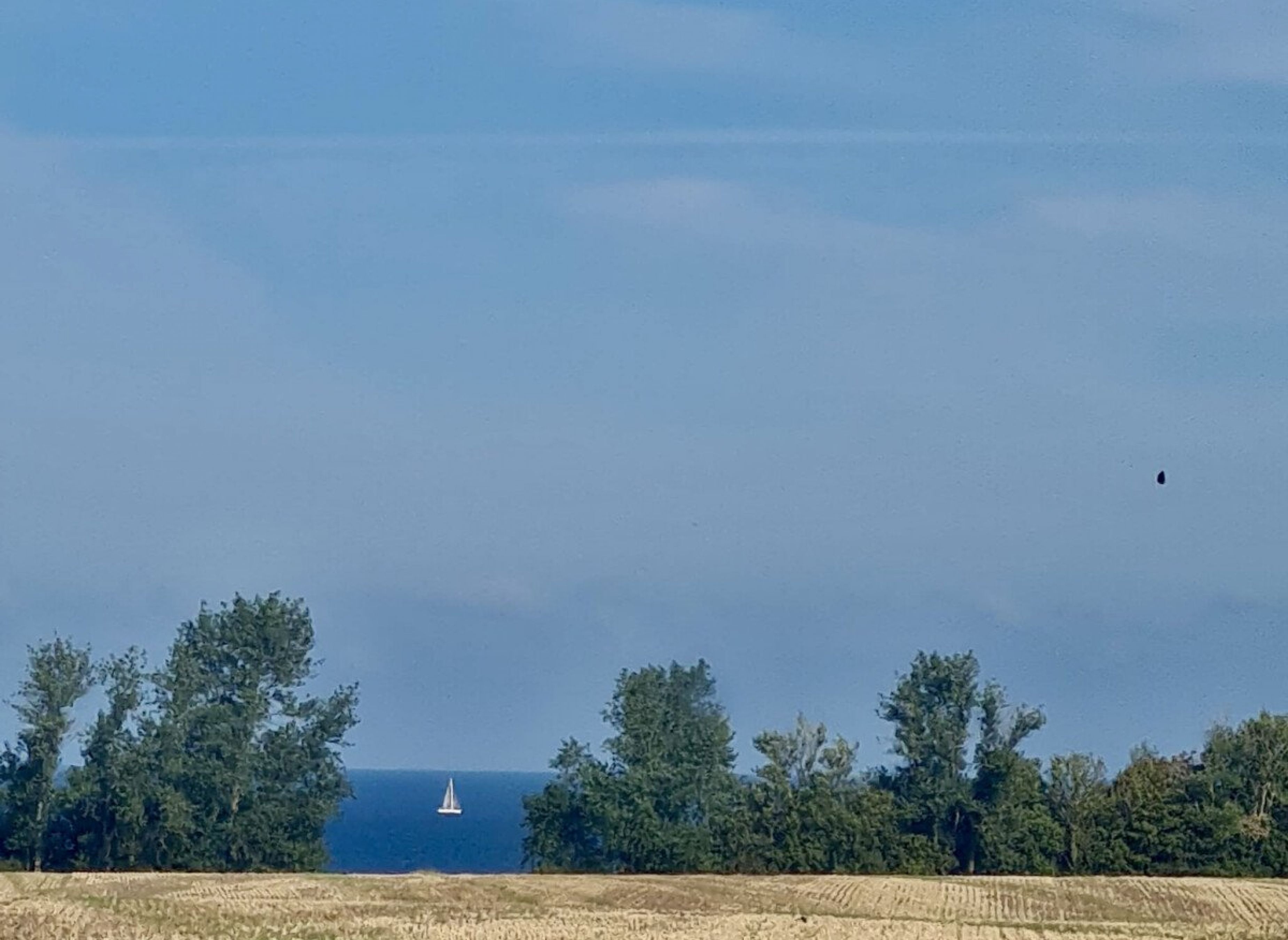 Wildpflanzenwiese Nähe Ostsee — Stellplatz in Rerik