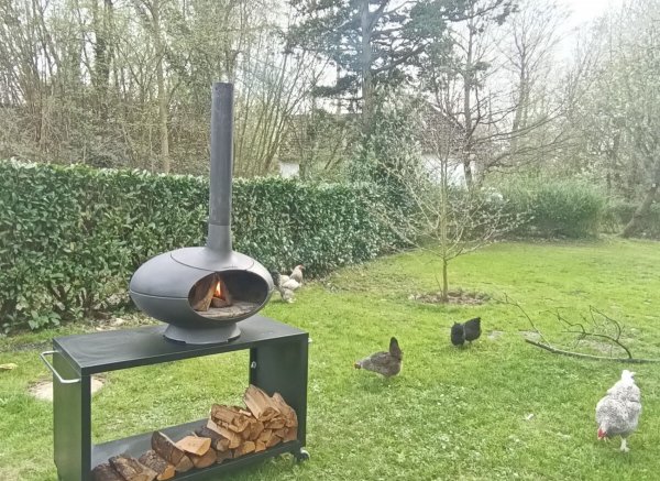 Beim Buckeberg — Photo 2