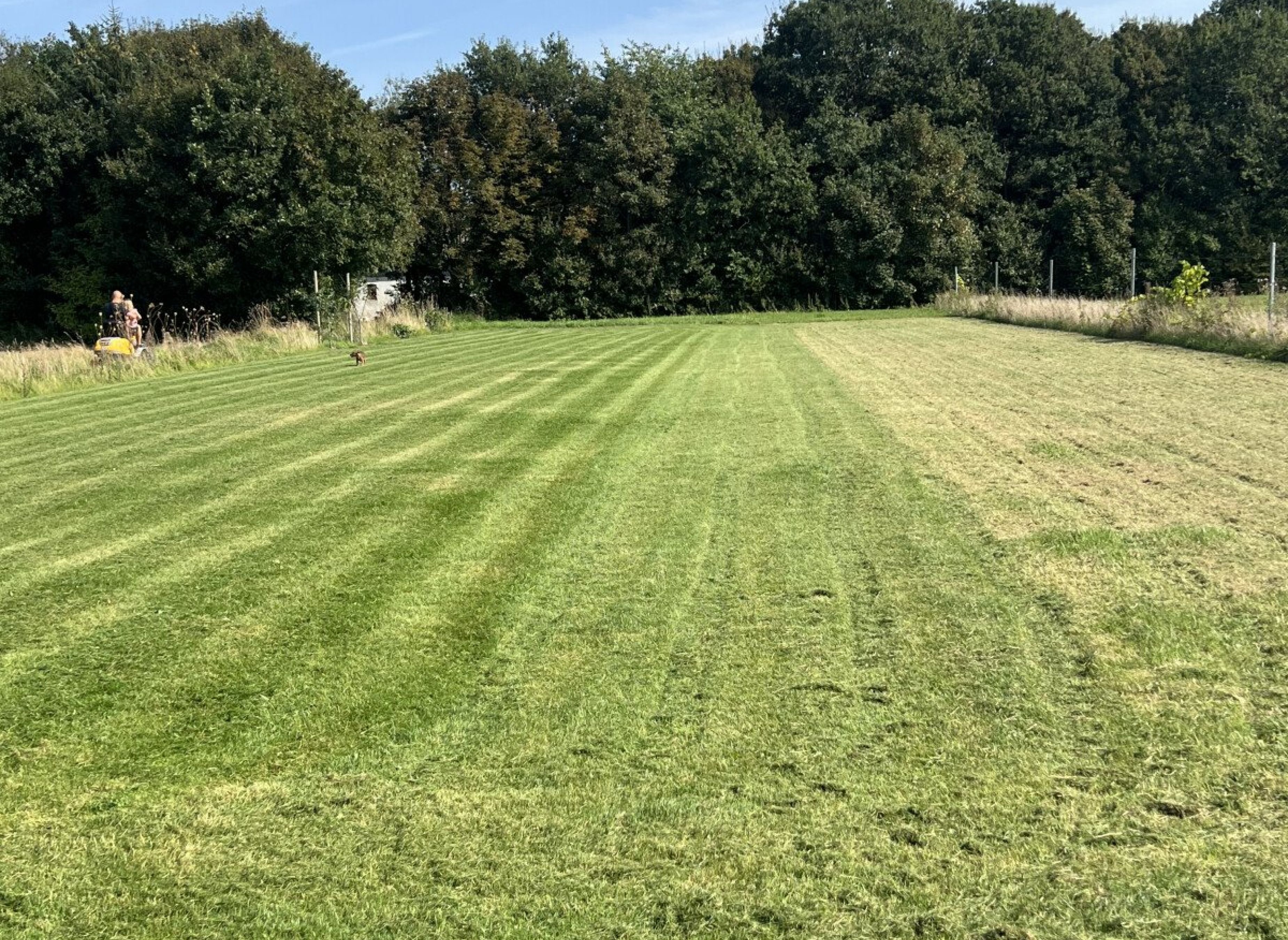 Entspannen am alten  Zollhaus — Stellplatz in Bevtoft