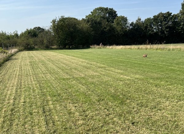 Entspannen am alten  Zollhaus — Photo 2