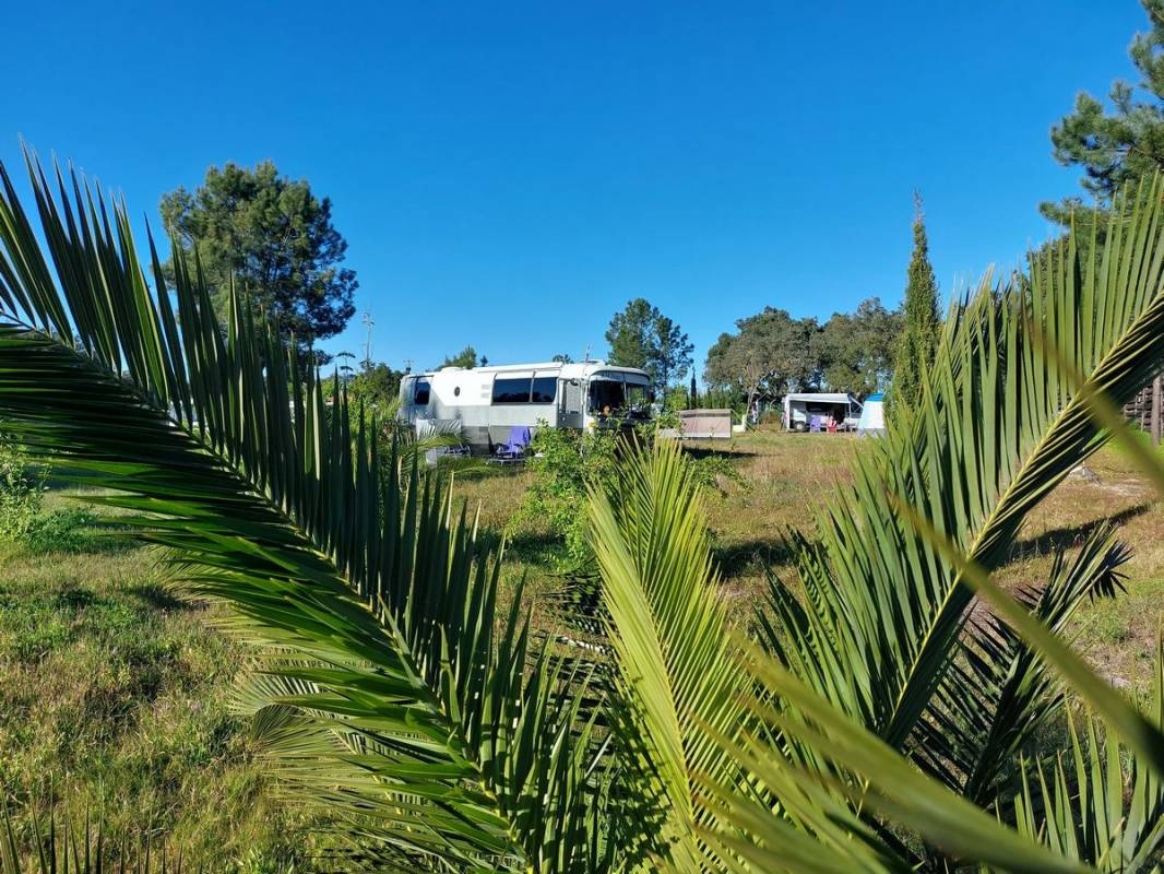Monte Naturista O Barao (FKK, naturist) — Campingplatz in Barão
