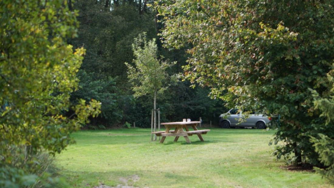 Camping De Olde Bargen — Campingplatz in Dwingeloo