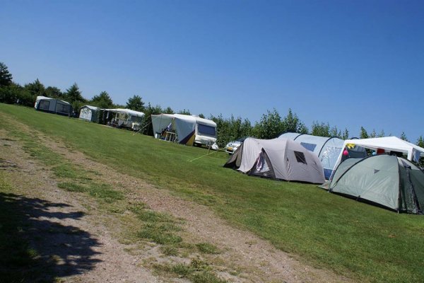 Minicamping Leeuwendamme — Photo 3