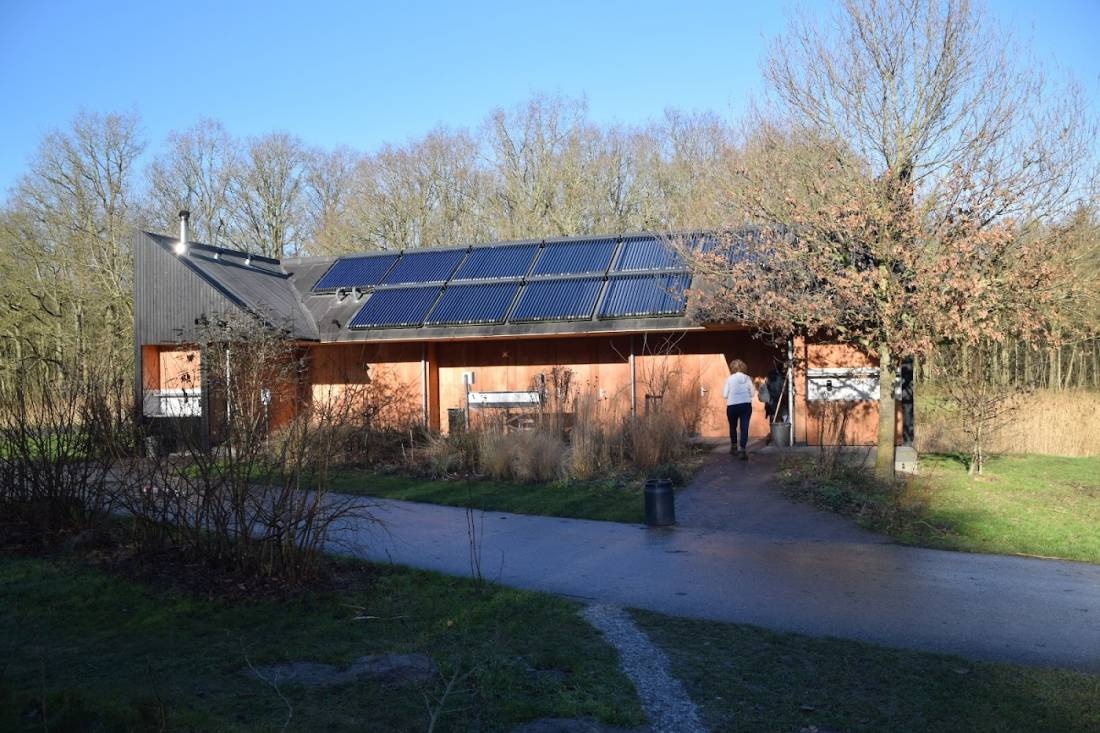 Camping het bos roept — Kemp in Slootdorp