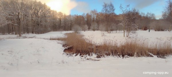 Camping het bos roept — Photo 6