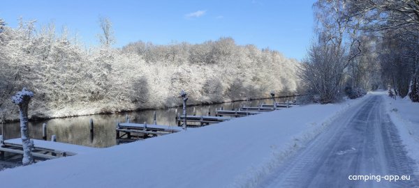 Camping het bos roept — Fotografie 5