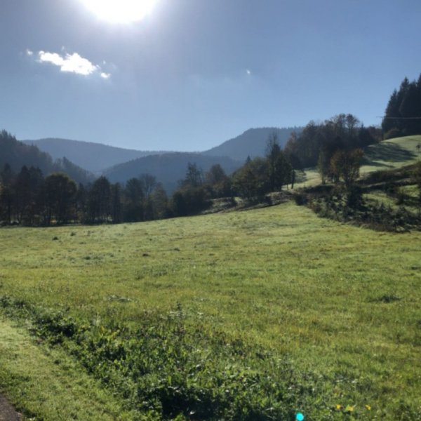 Wohnmobilstellplatz Löchlehof — Foto 3