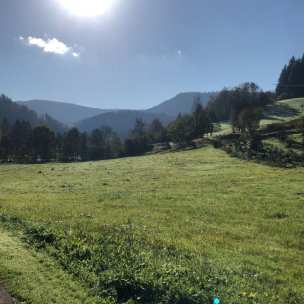 Wohnmobilstellplatz Löchlehof — Campervan Site in Oppenau