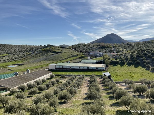 Stellplatz Noalejo — Photo 3