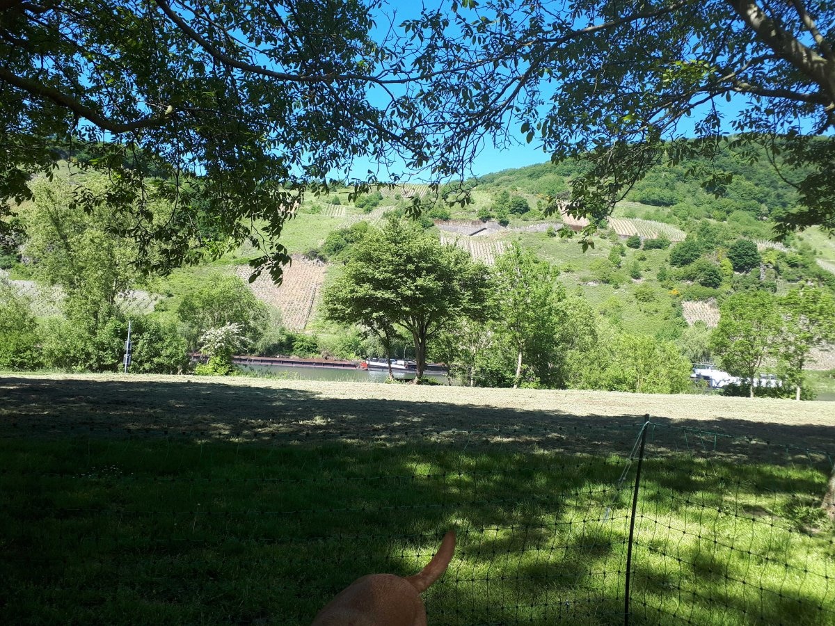 Wasserwander-Rastplatz Mühle Finowfurt — Camperplads in Schorfheide