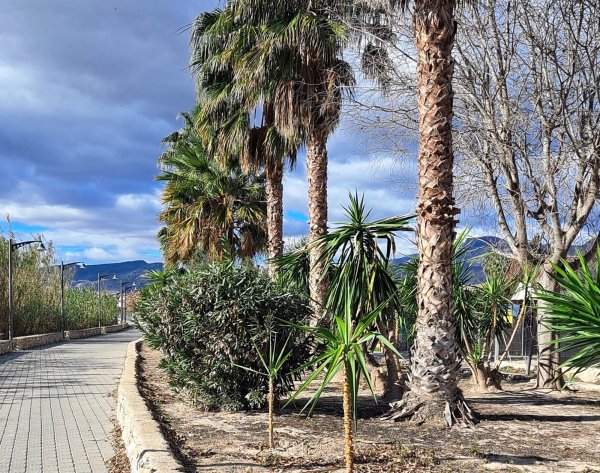 Stellplatz Archena — Photo 4