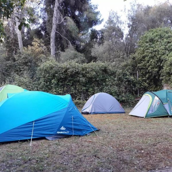 Camping Diana — Photo 2