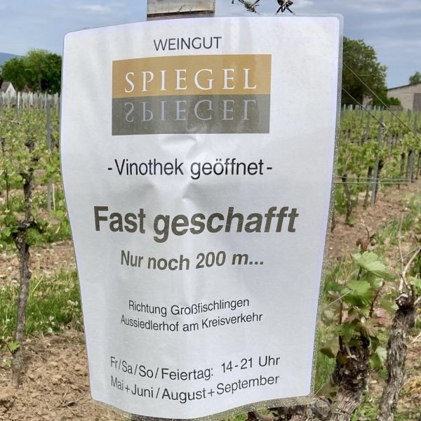 Weingut Spiegel — Photo 4