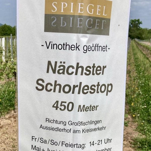 Weingut Spiegel — Photo 5