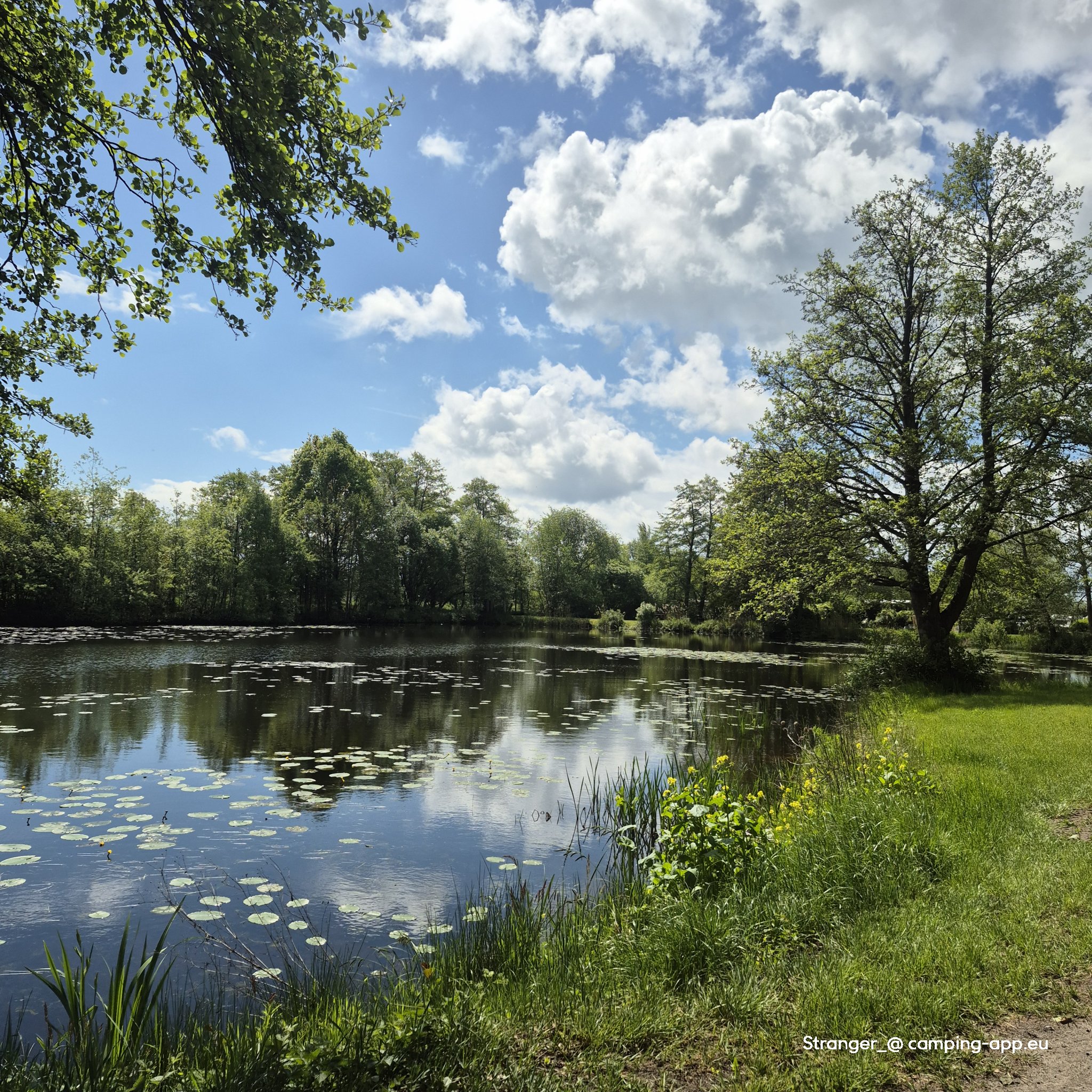 Campingplatz Vierhausen am Quellsee — Photo 5