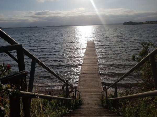 Lillebælt Naturistcamping (FKK) — Photo 4