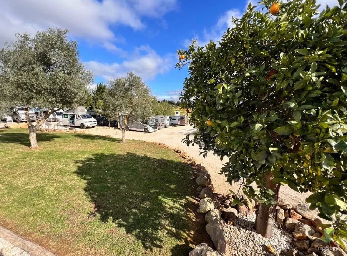CampingCar Figuera — Campervan Site in Mexilhoeira Grande
