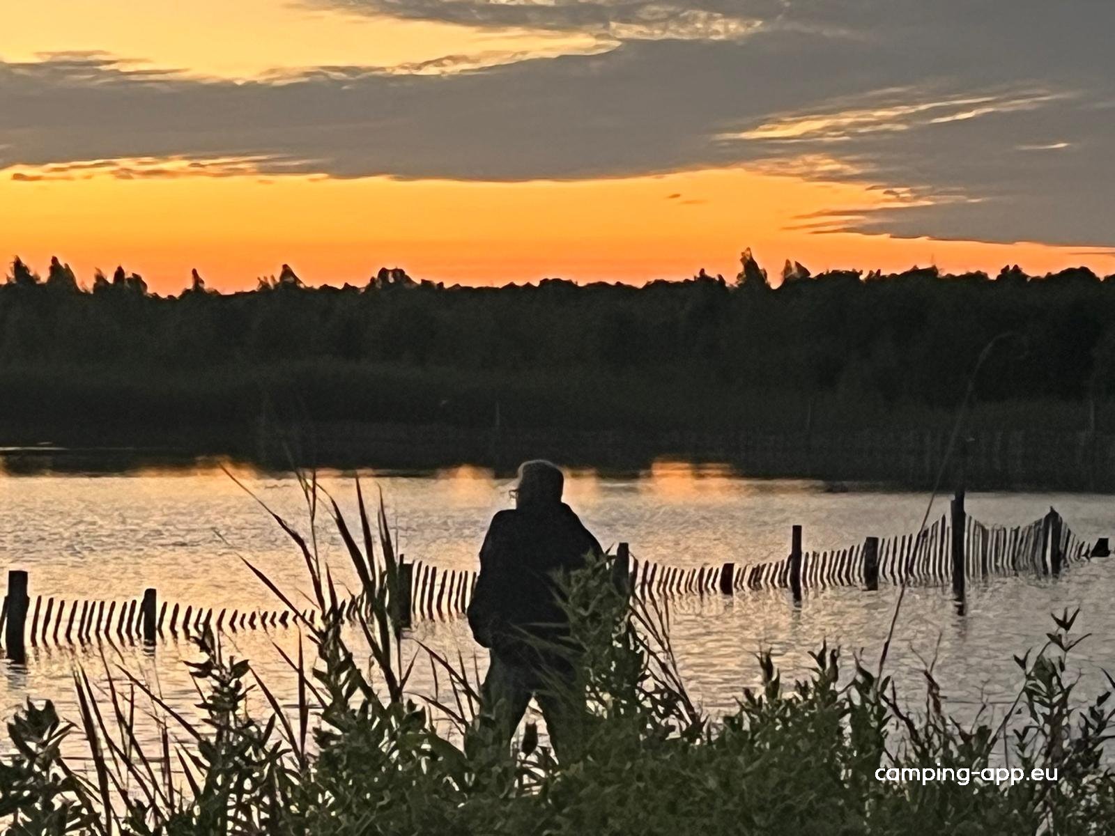Camperplaats en activiteitenveld De Stronk — Foto 3
