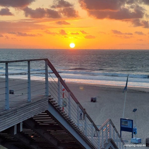 De Putter — Photo 6