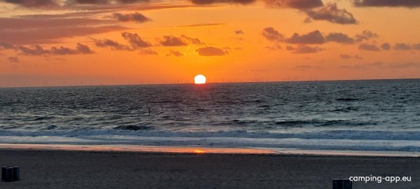 De Putter — Photo 4