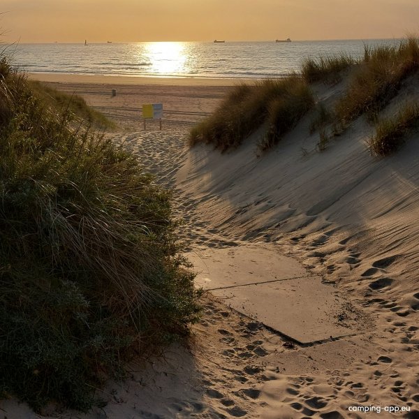 De Putter — Photo 5