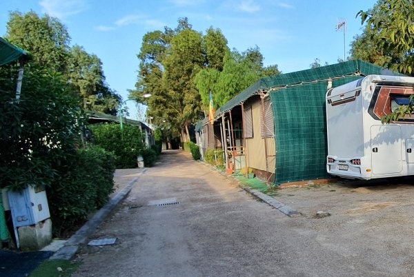 Camping Bungalow Park Albufera — Campervan Site in Valencia El Saler
