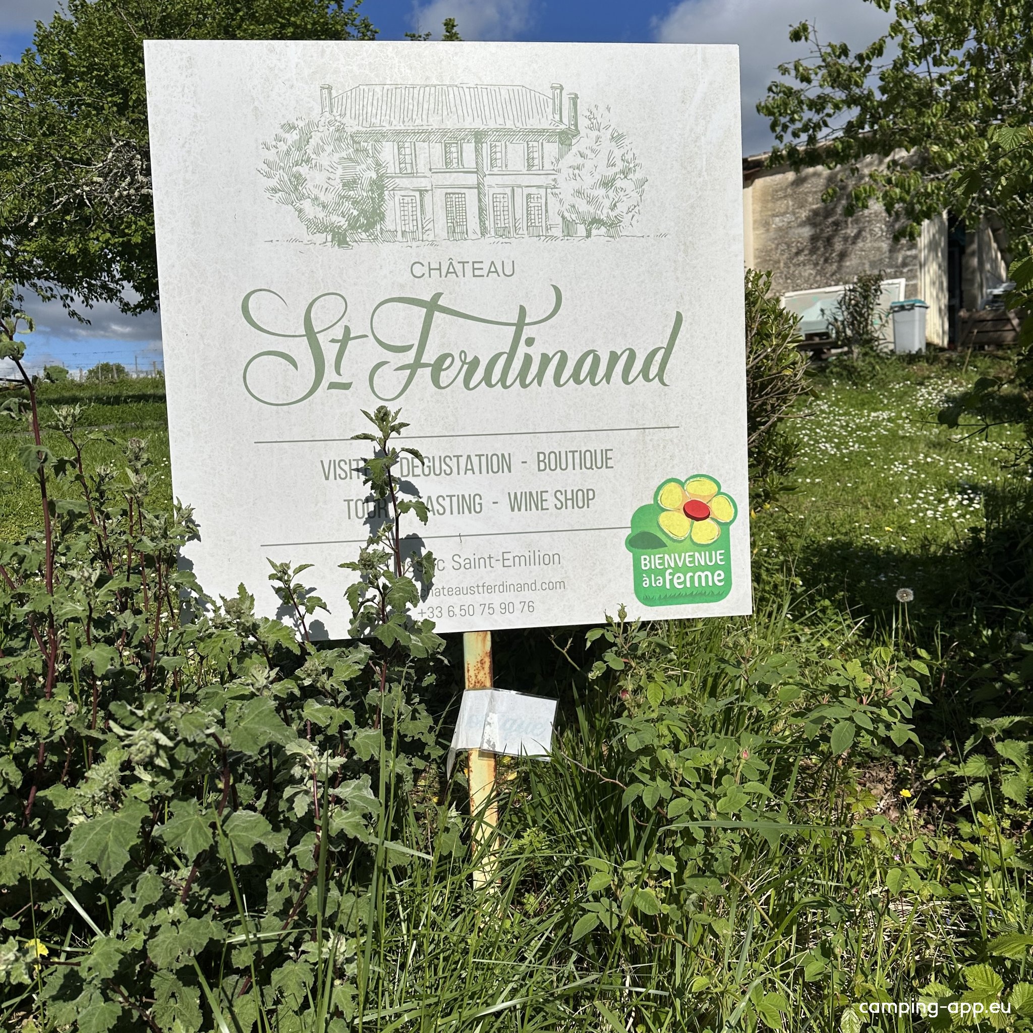 château St-Ferdinand — Winery in Lussac