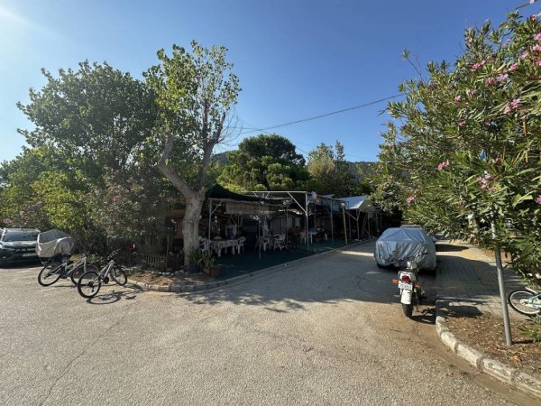 Goden Beach Thassos — Photo 2