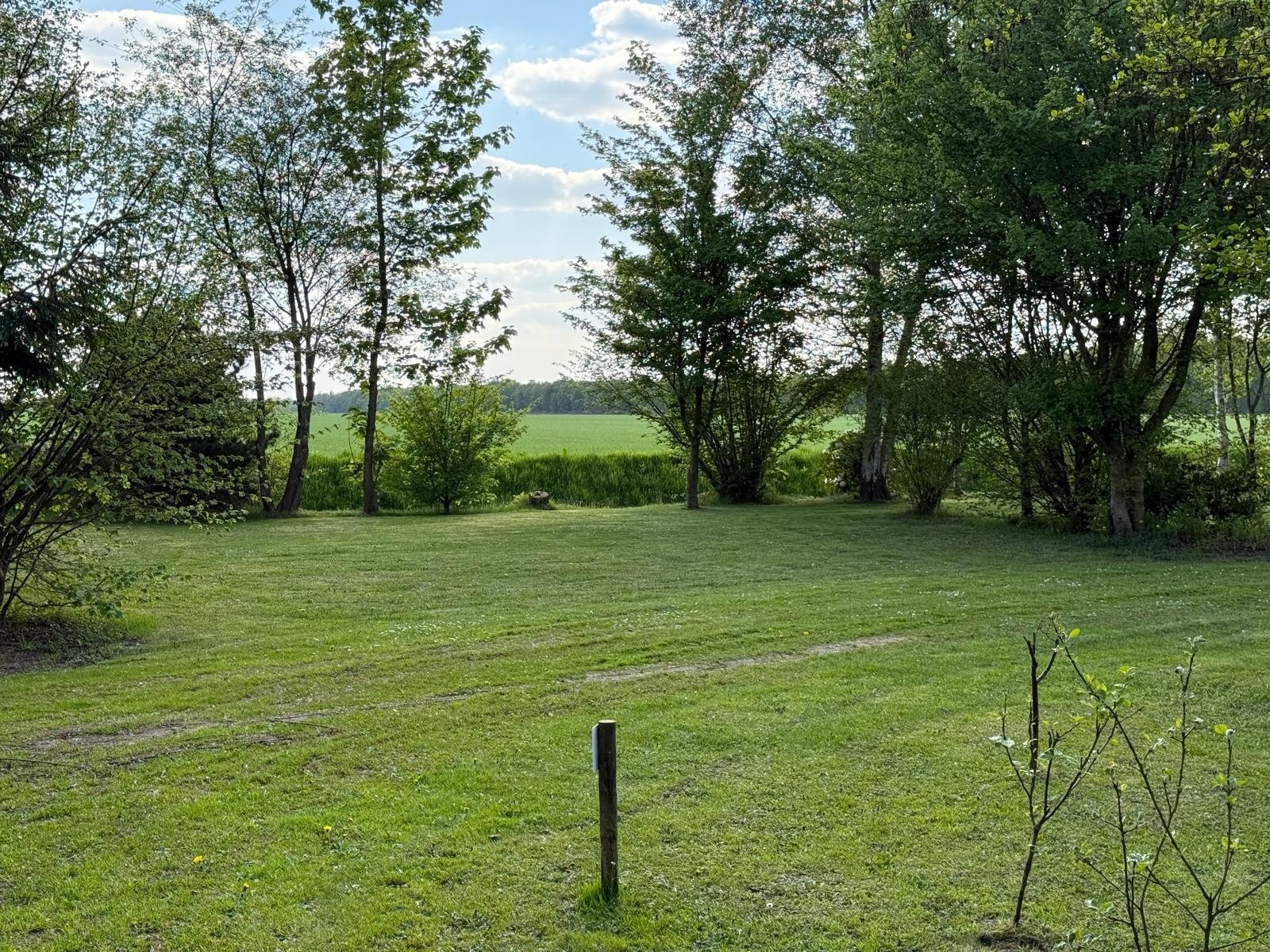 Het Vogelbos — Area da campeggio in Erica