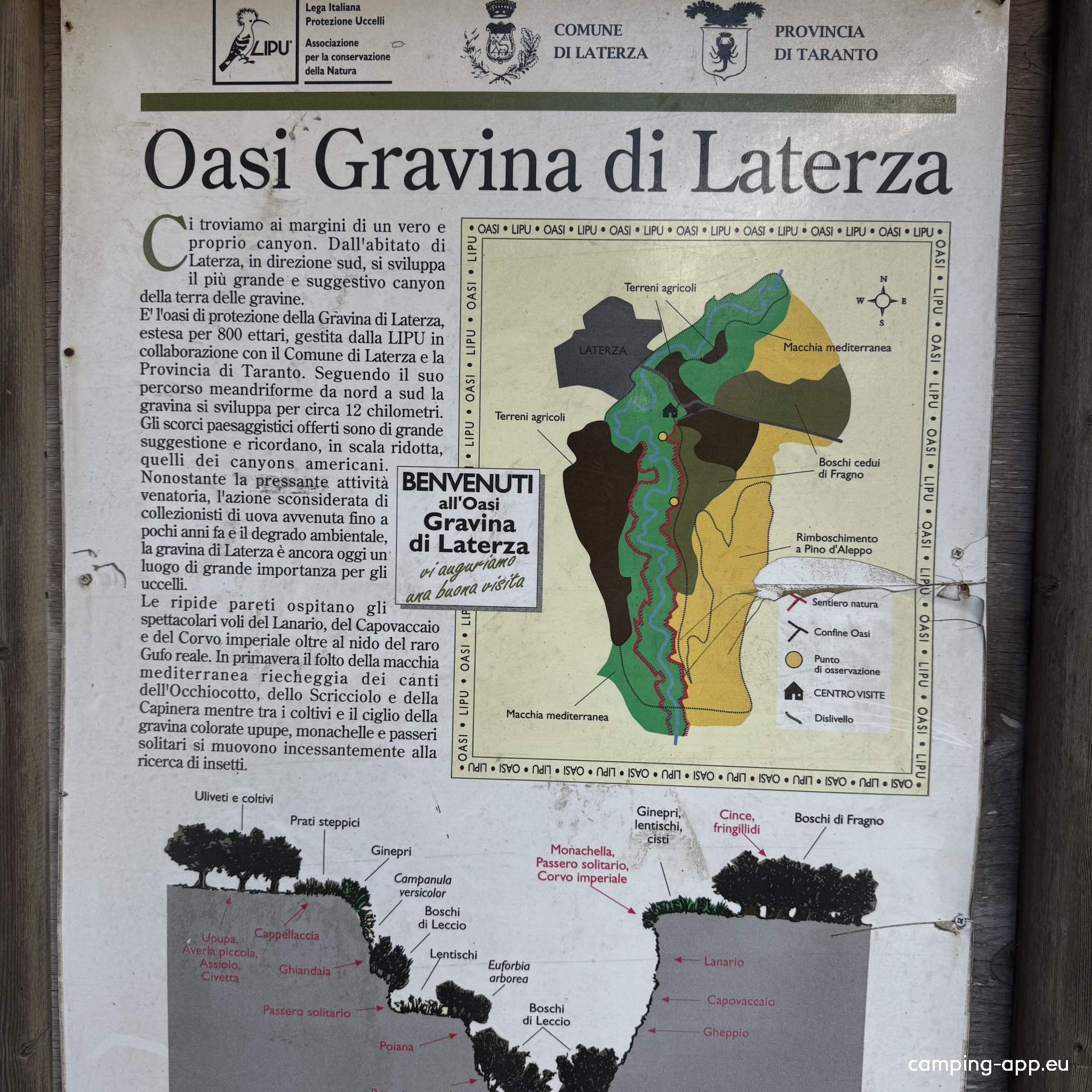 Oasis della grivina di Lateraza — Sp. parking dla kamperów in Laterza TA