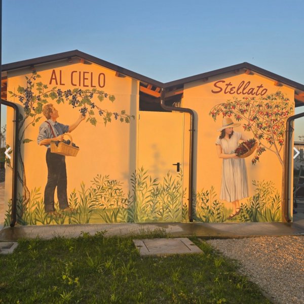 Agricamping AL CIELO Stellato — Photo 4