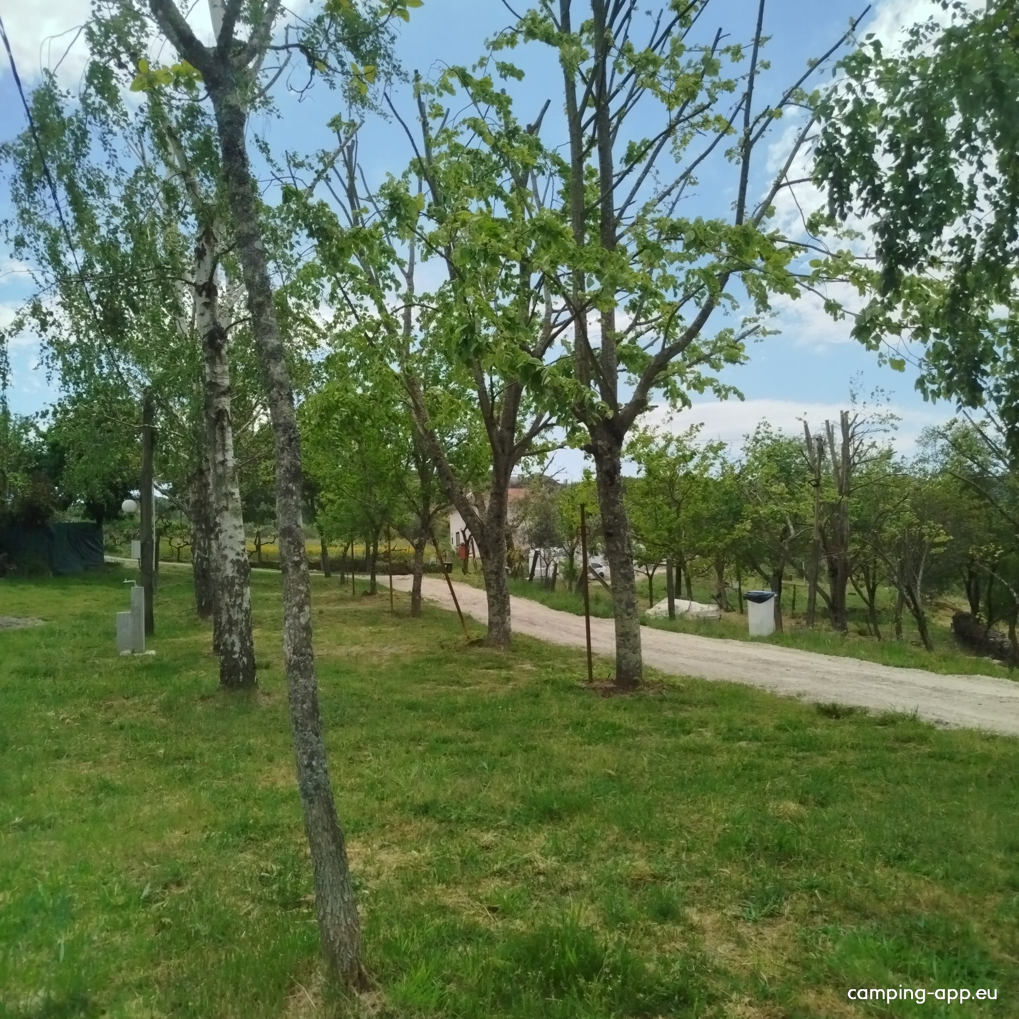 Camping Rural Naturrosa — Campingplads in Ventosa