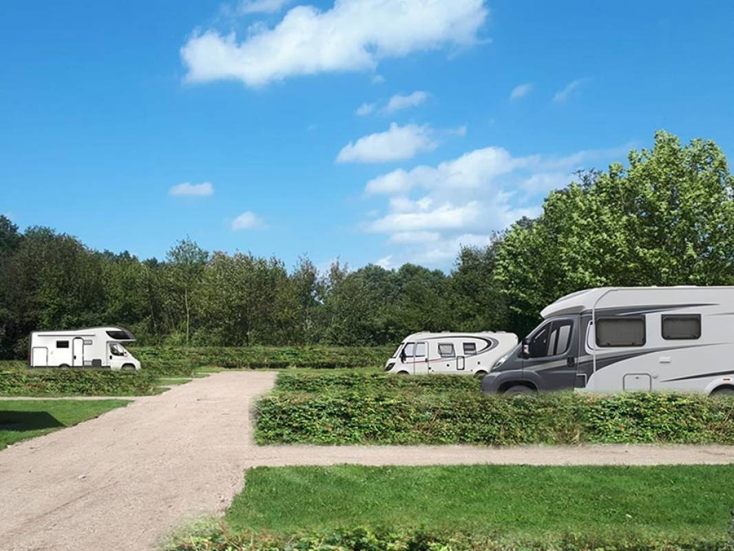 Nieuw Rengelink Camper & Kampeerterrein — Kemping in Aalten