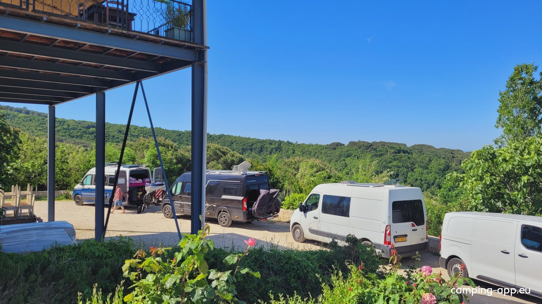 Albanica Vineyard — Vineri in Fier