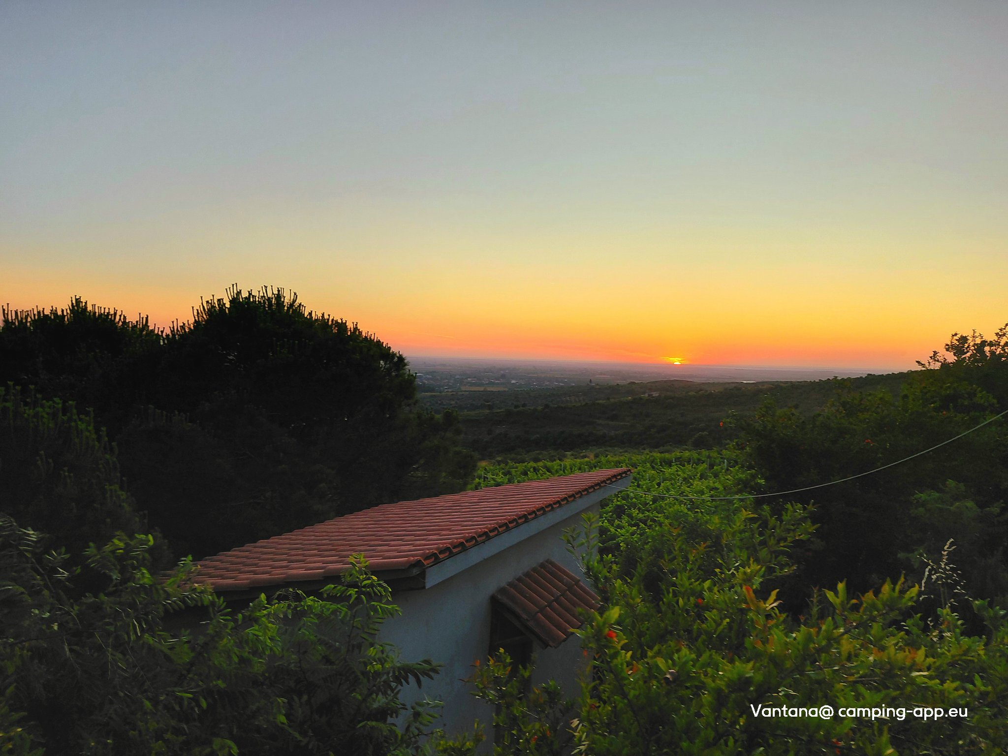 Albanica Vineyard — Foto 2