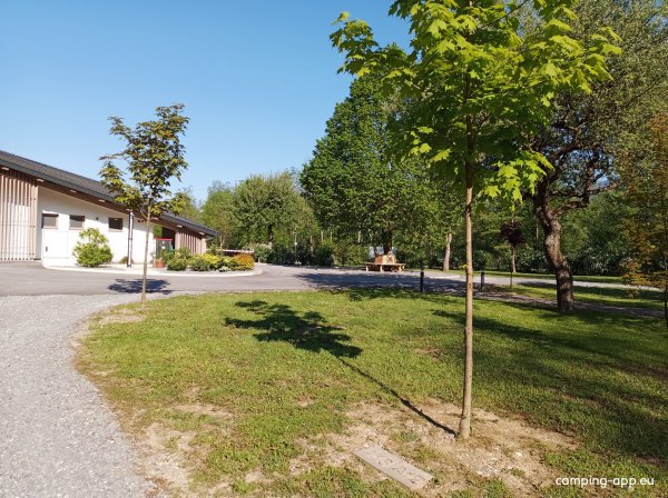 KAMP SAVINJA — Foto 3