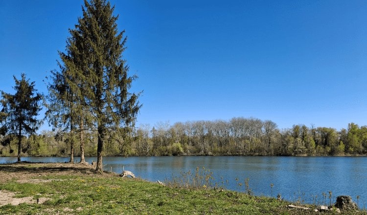 Stellplatz Schœnau — Campingplads in Schoenau