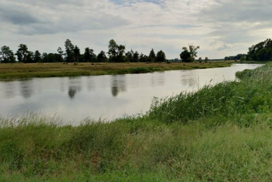 Miejsce Biwakowe — Campingplatz in Wiejce