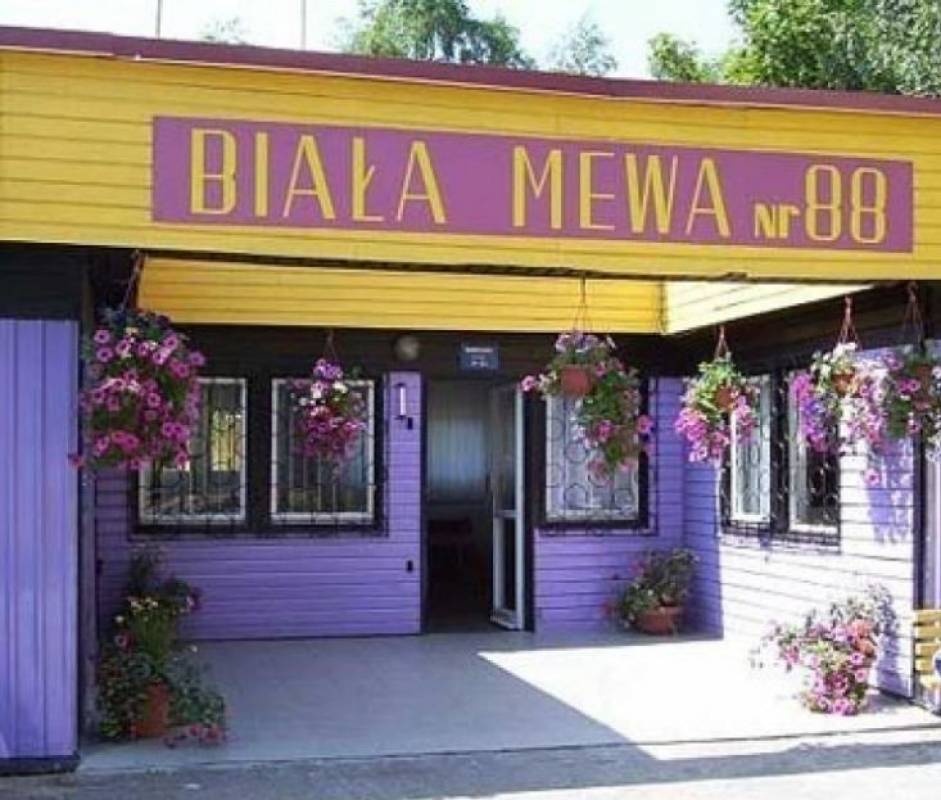 Camping Biała Mewa — Kamp yeri in Dźwirzyno