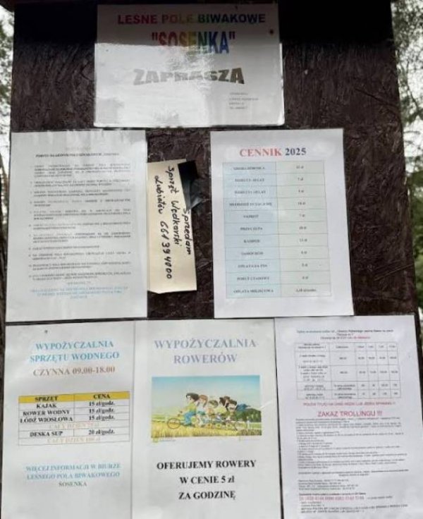 Forest camping - Sosenka